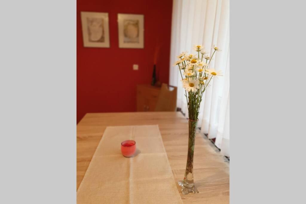 Apartma Kreda 모스트라나 외부 사진